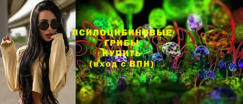 hydra зеркало  Балтийск  Галлюциногенные грибы MAGIC MUSHROOMS  купить наркоту 