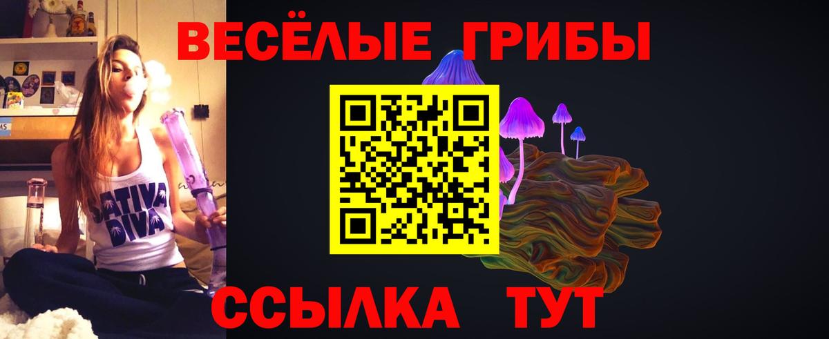 Псилоцибиновые грибы мицелий  Псилоцибиновые грибы Magic Shrooms  Вход с VPN  Балтийск 