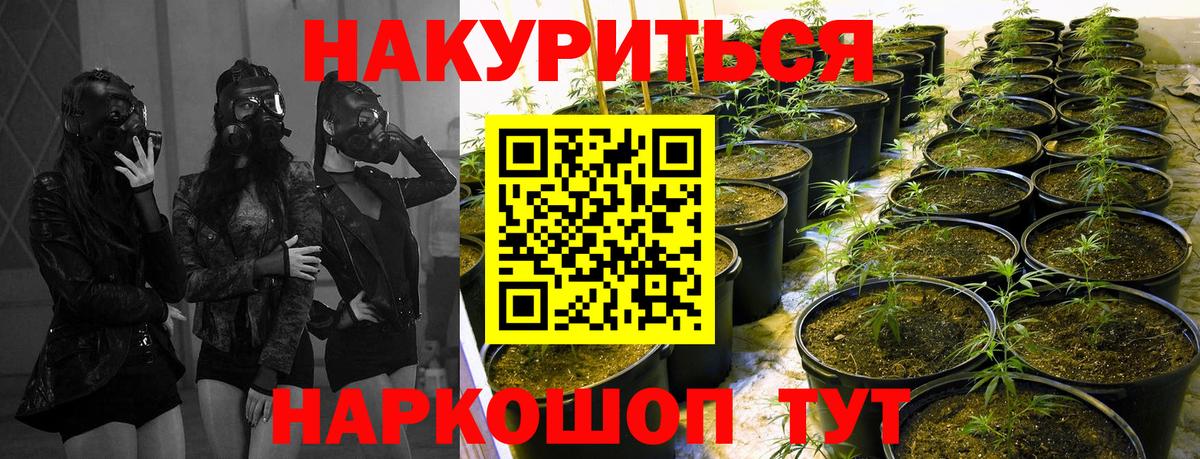 Конопля SATIVA & INDICA  МАРИХУАНА планчик  Балтийск  Бошки Шишки MAZAR  Бошки марихуана VHQ  Вход с VPN 
